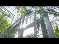 Moonlight Breakfast REMIXES - Go Get It (Bazooka Edit)