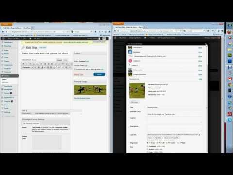 VIDEO : wp engine hosting vs crazy domains - wp enginewp enginehostingvswp enginewp enginehostingvscrazy domains, check the speeds! ...