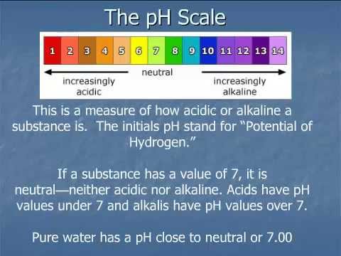 The Acid Alkaline Balance