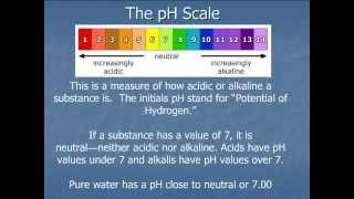 The Acid Alkaline Balance