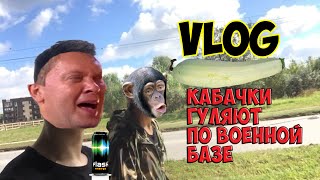 VLOG ● ДВА КАБАЧКА ГУЛЯЮТ ПО ВОЕННОЙ БАЗЕ VLOG ● ДВА КАБАЧКА ГУЛЯЮТ ПО ВОЕННОЙ БАЗЕ