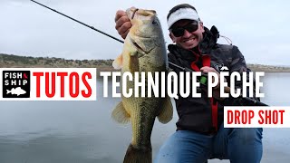 Technique Drop Shot Simple Et Redoutable Pour Pêcher Les Carniers
