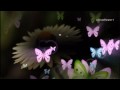 BRIAN CRAIN - Butterfly waltz