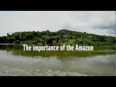 The importance of the Amazon to the world