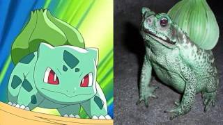 Des Pokemon Dans La Vraie Vie ?