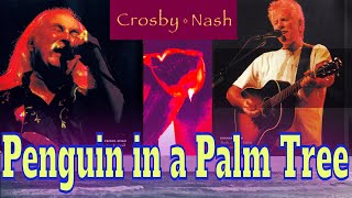 Watch Crosby  Nash Penguin In A Palm Tree video