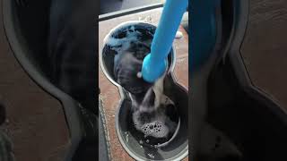 Tesla Deep Cleaning #Satisfying #Shorts