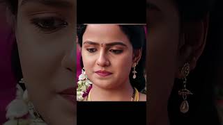 Best Movie Strips Emotional & Romantic Movie Scenes 2025