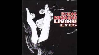 Watch Radio Birdman Do The Movin Change video