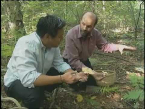 ming tsai wiki. Public television#39;s Ming Tsai