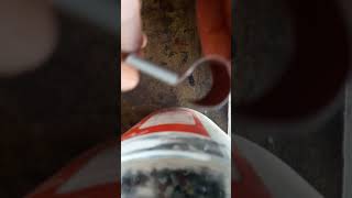 Düdük Nasıl Yapılır