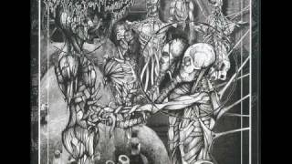 Watch Exhumed All Murder All Guts All Fun video
