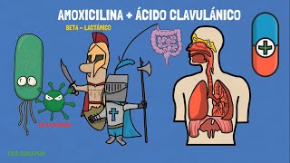 Amoxicilina Con Ácido Clavulánico Para Qué Srive La Amoxicilina?