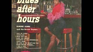 Watch Elmore James Dust My Blues video
