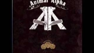 Watch Animal Alpha My Droogies video