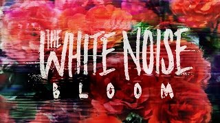 Watch White Noise Bloom video