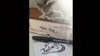 Tuba İsmi̇ne Kali̇grafi̇ Güzel Yazi Calligraphy And Lettering Drawing