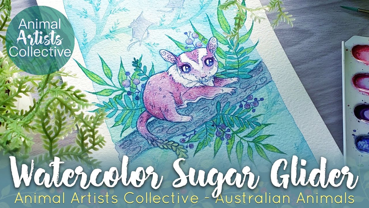 Australlian Sugar Glider Watercolor Painting ~ AAC
