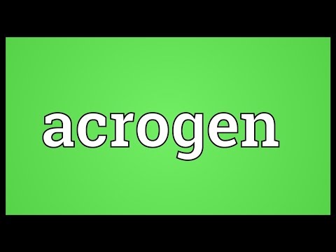 Header of acrogen