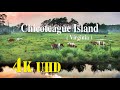 Chincoteague Island  ( Virginia )