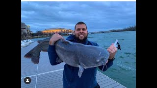 Catfish Weekly 367 With Guest The Haz Life