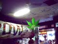 Title:Biggest Joint ever! Description:a really big joint in NIMBIN HEMP EMBASSY