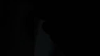 Josh Hutcherson Whistle Roblox Version
