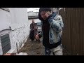 YouTube YouTube