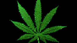 Watch Digital Underground Oregano Flow video