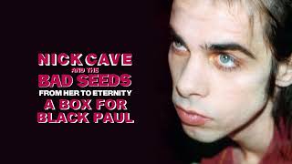 Watch Nick Cave  The Bad Seeds A Box For Black Paul video
