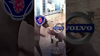 Scania Vs. Volvo