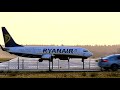rynair 737