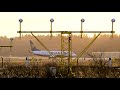 rynair 737
