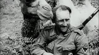 Les Grandes Batailles - La Bataille De Stalingrad Juillet 1942 - Février 1943