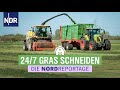 Schwaden, häckseln und einfahren: Trecker im Dauereinsatz | Die Nordreportage | NDR