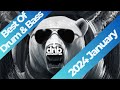 🐻 BEST OF DRUM & BASS Mix 2024 (Jan) | Camo & Krooked, Friction, Serum, James Hype, Eskei83 | DNB ❄️