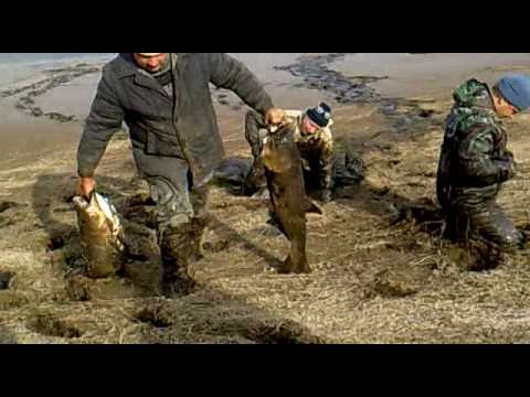 ловля судака в ростовской области видео ловля судака в ростовской области видео