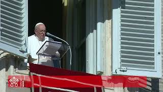 Siete días con el Papa Francisco