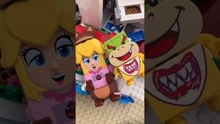 Vibe Of Tanuki Peach & Bowser Jr.