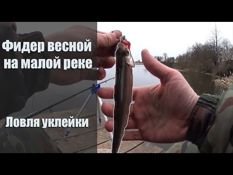 ловля фидером на малых ловля фидером на малых