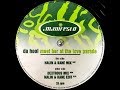 Da Hool - Meet Her At The Love Parade (Nalin & Kane Mix) (1997)
