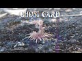 Ghost Card Video preview
