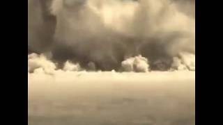Explosion Dog