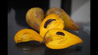 Canistel - Pouteria Campechiana - Fruit Exotique - Thaïlande