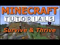 Minecraft Tutorials - E73 Apple Orchard Tree Farm (Survive and Thrive Season 4)