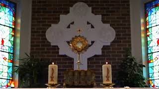 Saturday 20th June Exposition The Dead Anniversaries of the Deceased followed by Mass