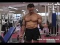 Biceps Bicep Workout -Big Arm Workouts-arms bodybuilding