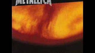 Video Carpe diem baby Metallica