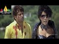 Maisamma IPS Telugu Movie Part 7/12 | Mumaith Khan | Sri Balaji Video