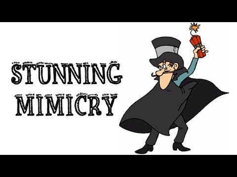 Stunning Mimicry on Bollywood Actors by Talented Abin Sinha